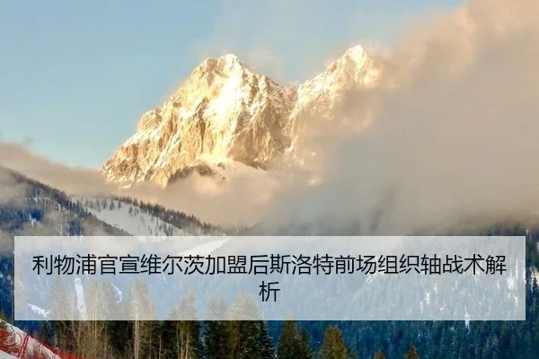 利物浦官宣维尔茨加盟后斯洛特前场组织轴战术解析